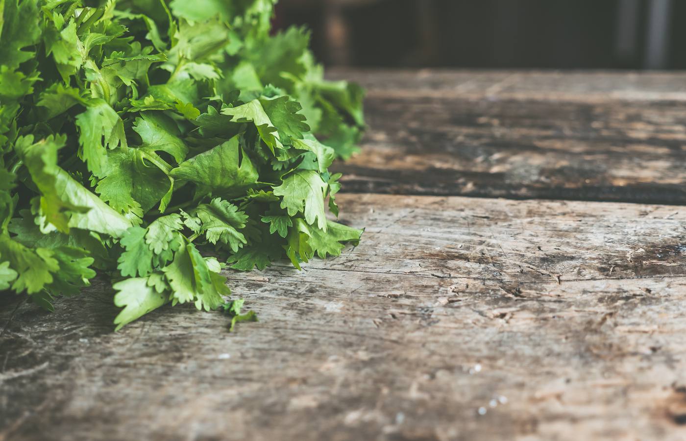 The 5 Best Cooking Herbs to Grow in Your Garden
