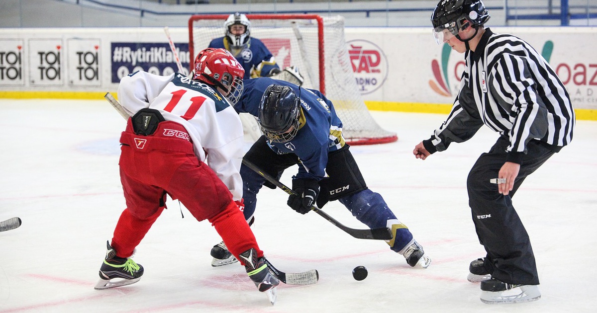 The Most Expensive Hockey Skates to Buy Features and Benefits B & T